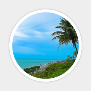 Quiet beach with coconut tree Magnet